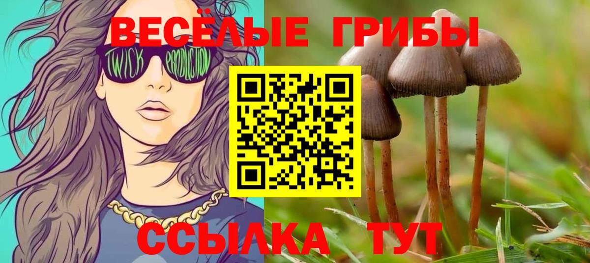 Галлюциногенные грибы MAGIC MUSHROOMS  Вход с VPN  Армавир 